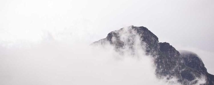 蘑菇视频最新更新 - 海量高清短视频