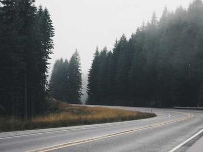 蘑菇视频最新更新 - 美食制作教程