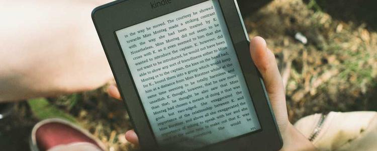 蘑菇视频最新更新 - 创作分享更有趣