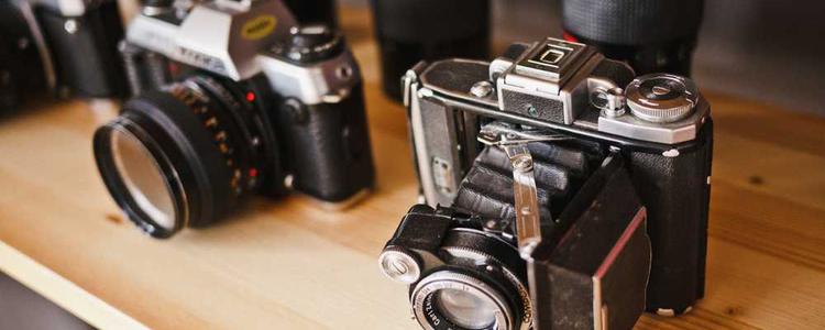 蘑菇视频最新更新 - 互动交流新体验